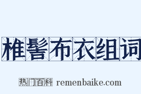 椎髻布衣组词是什么意思的图片